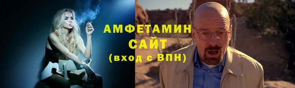 сатива Вяземский