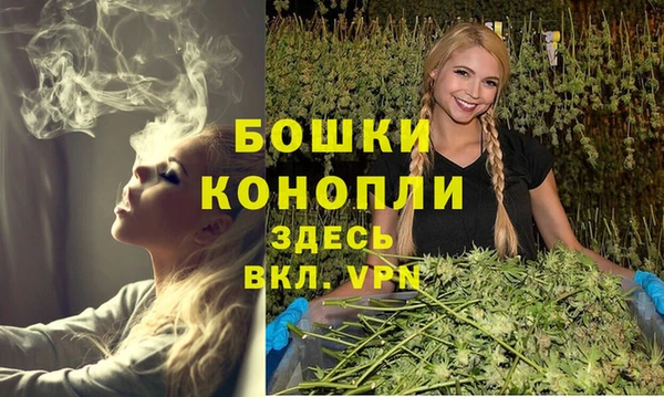 spice Волосово